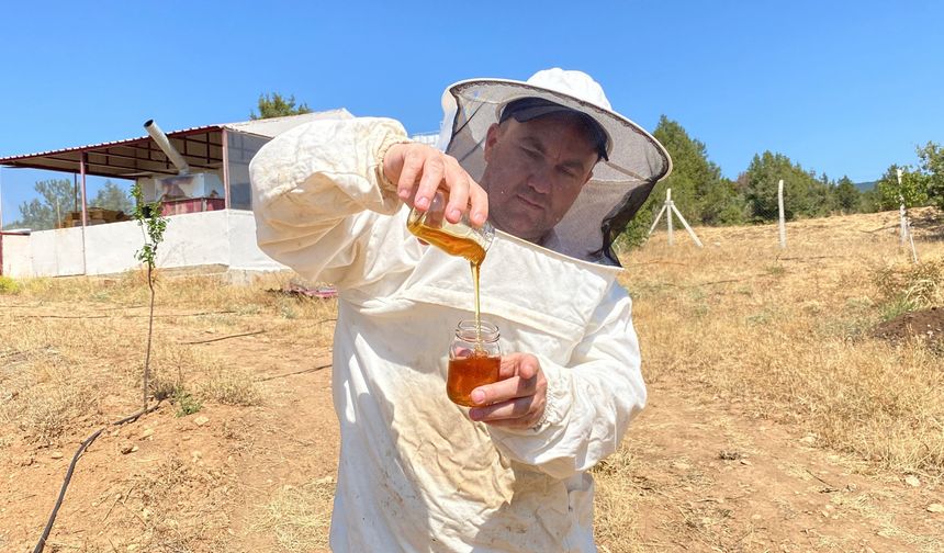Eskişehir Balı Dünyanın Zirvesinde: Paris’ten "Platin" Ödülle Döndü!