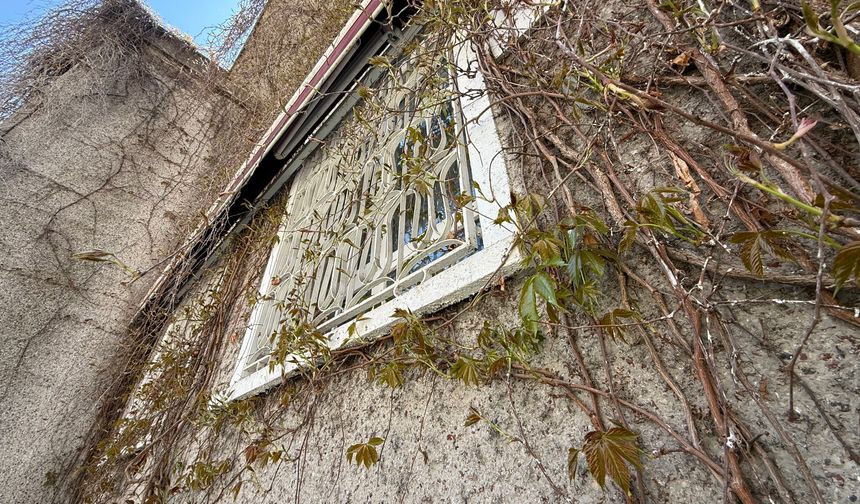 Eskişehir’in ‘Sarmaşıklı Camii’nde Bahar Uyanışı