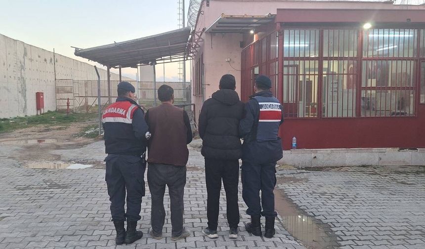 Eskişehir'de Dev Hayvan Dolandırıcılığı