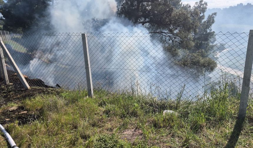 Bilecik’in Söğüt ilçesinde tarlada çıkan ateş ormana sıçradı