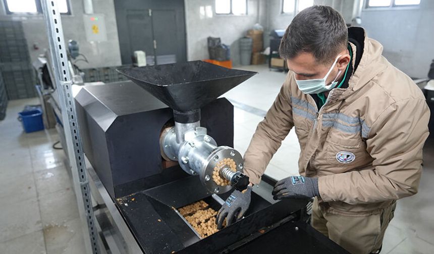 Eskişehir'de atık gıdalar sokak hayvanları için öamaya dönüşüyor