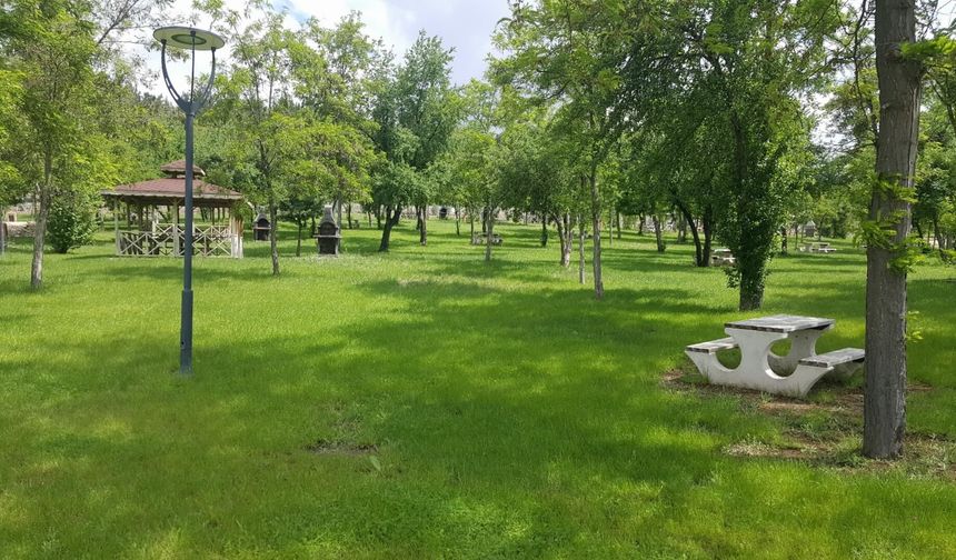 Ailenizle Vakit Geçirebileceğiniz En İyi Eskişehir Piknik Alanları Listesi