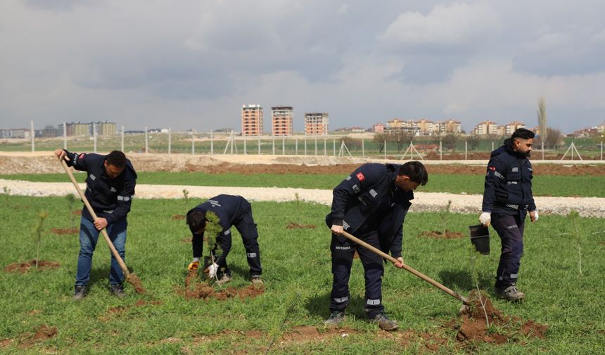 Eskişehir’de Aşk Kök Salıyor: Yeni Evlenen Her Çift İçin Bir Fidan!