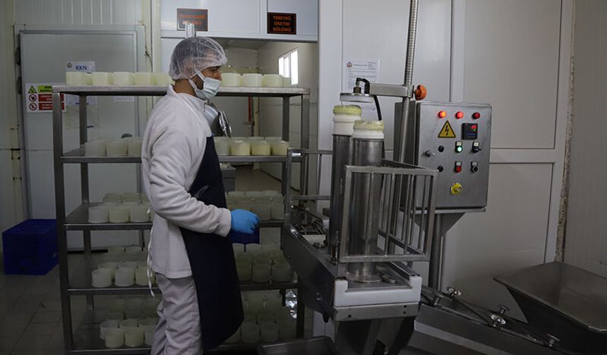 Eskişehir’de Halk Süt Projesiyle Güvenli ve Uygun Ürünler