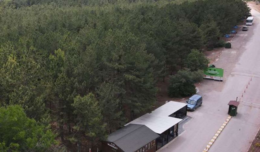 Eskişehir Ormanları İçin Kritik Uyarı