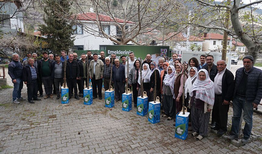 Sarıcakaya’da Üreticiye Destek: 600 Dut Fidanı Toprakla Buluştu