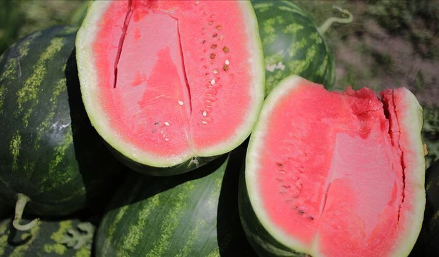 Eskişehir’de Karpuz Lüks Oldu!