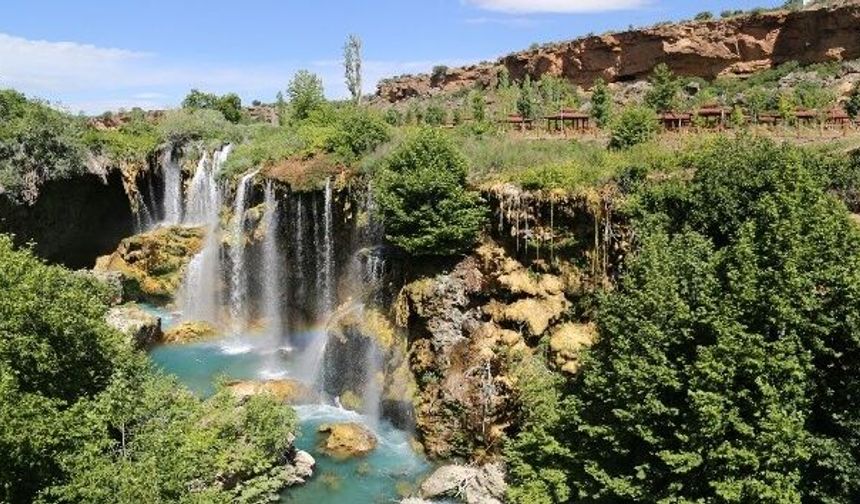 İklim Krizi Tehdidi: 2100 Yılına Kadar Binlerce Bitki Türü Yok Olabilir