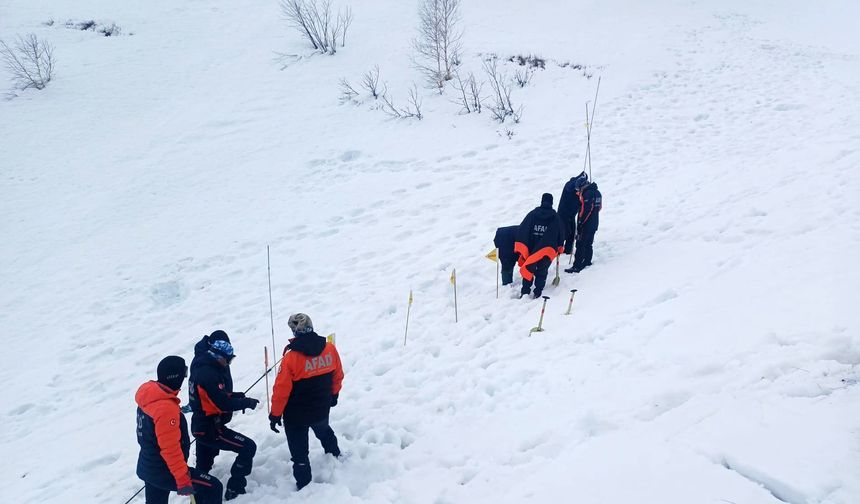 Artvin’deki çığ felaketinde kaybolan çoban için yeni arama
