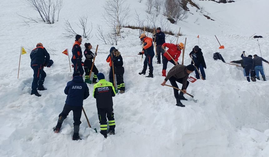Artvin'de Çığ Altında Kalan Çoban İçin Arama Çalışmaları Sürüyor