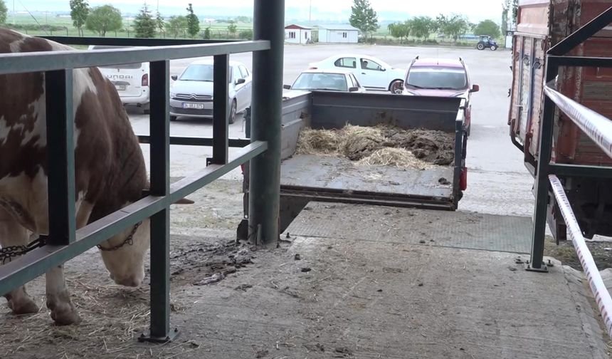 Eskişehir Hayvan Pazarı’nda Besicilerin Çadır İsyanı