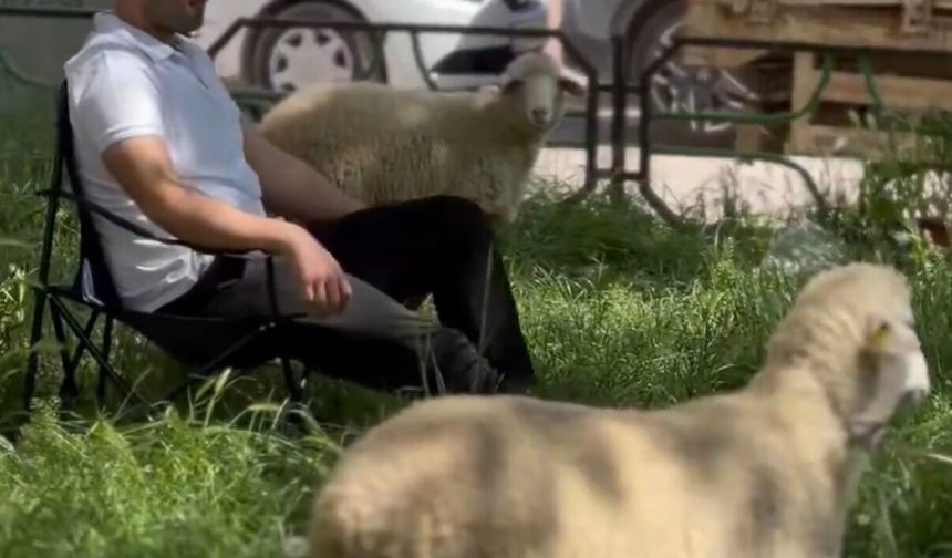 Tunç: "Vatandaş park istiyor, belediye ise mazeret üretiyor.”