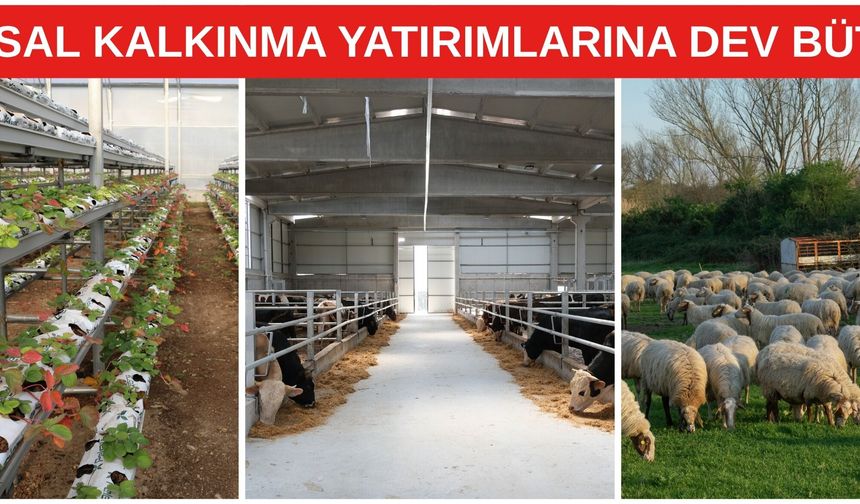 Kırsal kalkınma yatırımlarına dev bütçe