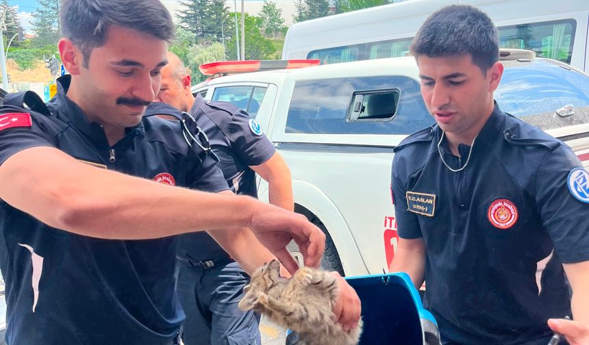 Eskişehir’de Otomobil Motoruna Sıkışan Kedi Kurtarıldı!