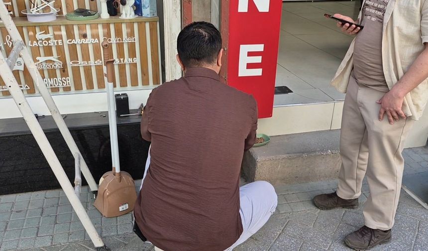 Eskişehir'de Tabelaya Sıkışan Yavru Kediyi Esnaf Kurtardı!