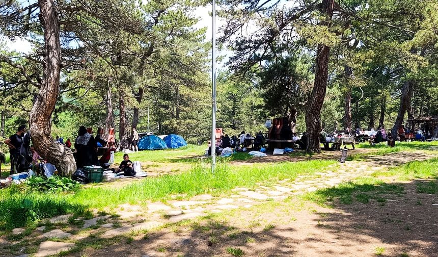 Çevre İllerin Huzur Rotası: Küçükelmalı Tabiat Parkı Hafta Sonları Ziyaretçi Akınına Uğruyor
