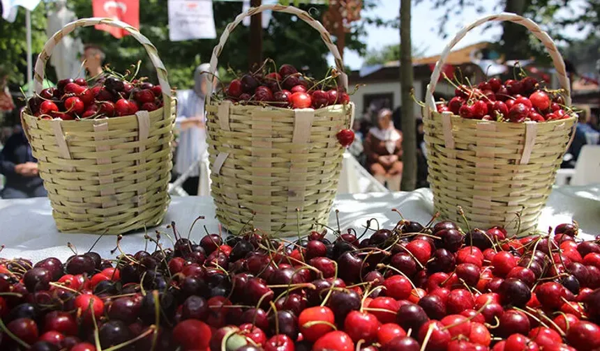 Mihalıççık Belediyesi’nden Son Dakika Kararı! Festival Ertelendi Mi?