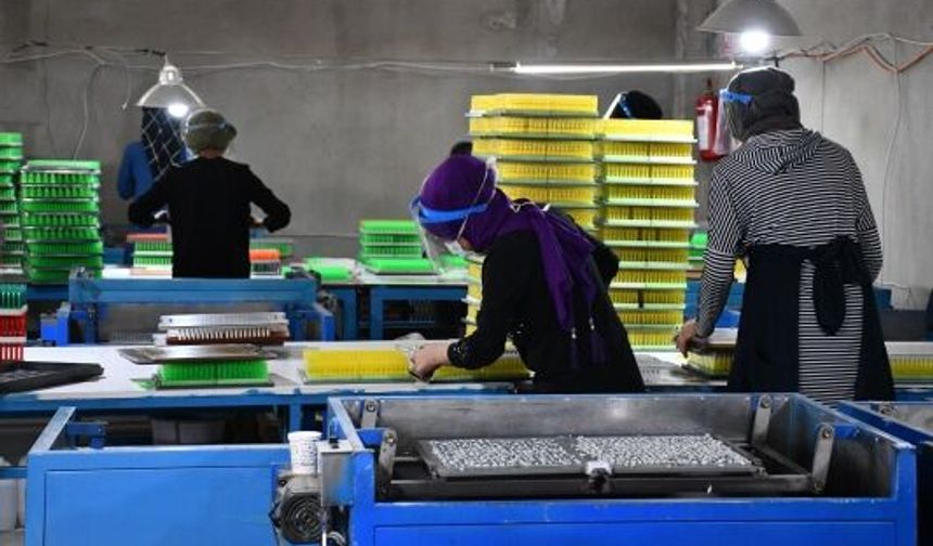 15 Temmuz’da Çalışanlar İçin Çift Yevmiye ve Mesai Ücreti