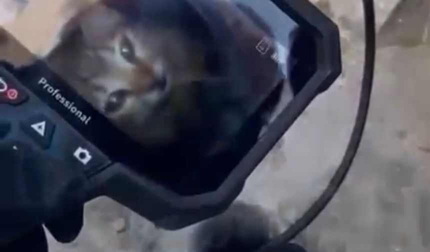 Eskişehir’de İtfaiye 5 Metre Derinden Kedi Kurtardı