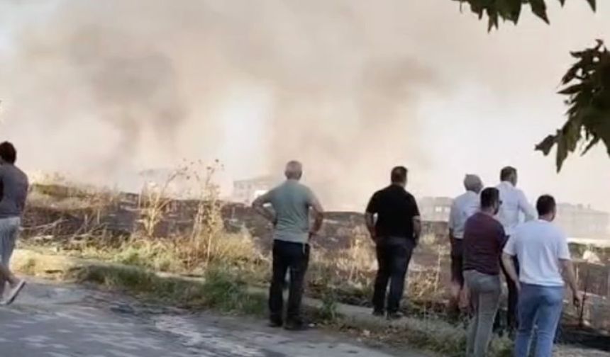 Eskişehir’de Otluk Alanda Yangın