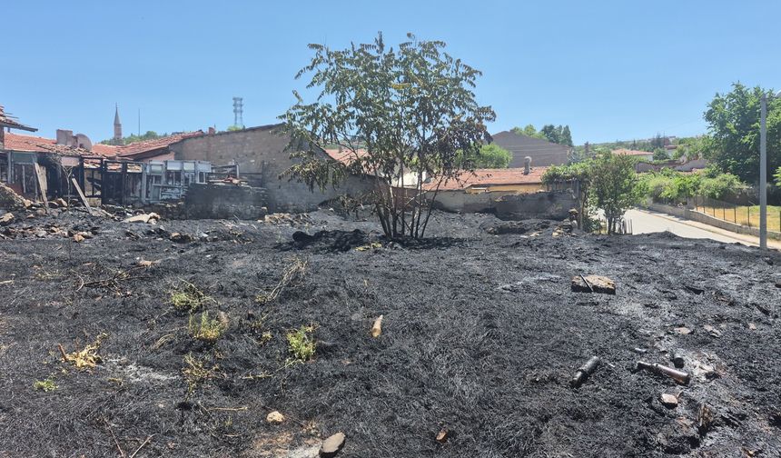 Eskişehir’de Otluk Alanda Yangın Paniği