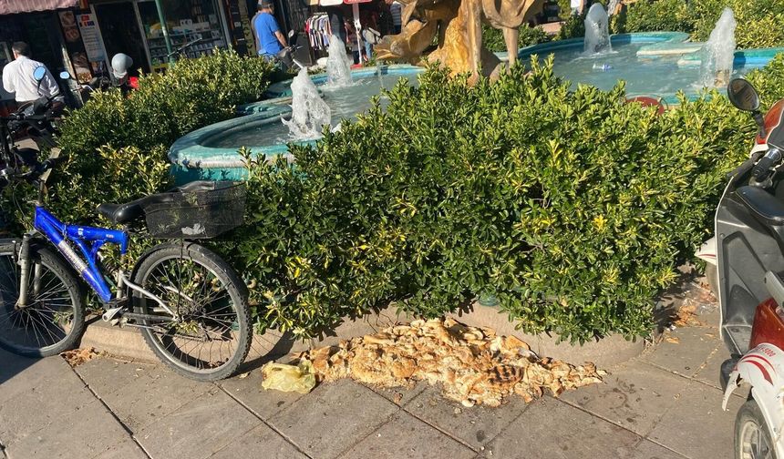 Kuşlar İçin Bırakılan Ekmekler Şehir Merkezinde Kirliliğe Yol Açtı