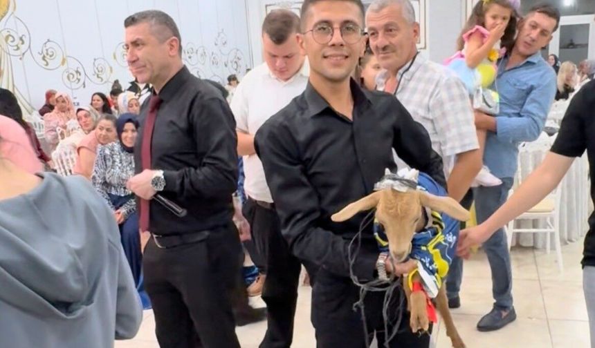 Eskişehir’de Düğünde Fenerbahçe Formalı Kuzu Hediyesi