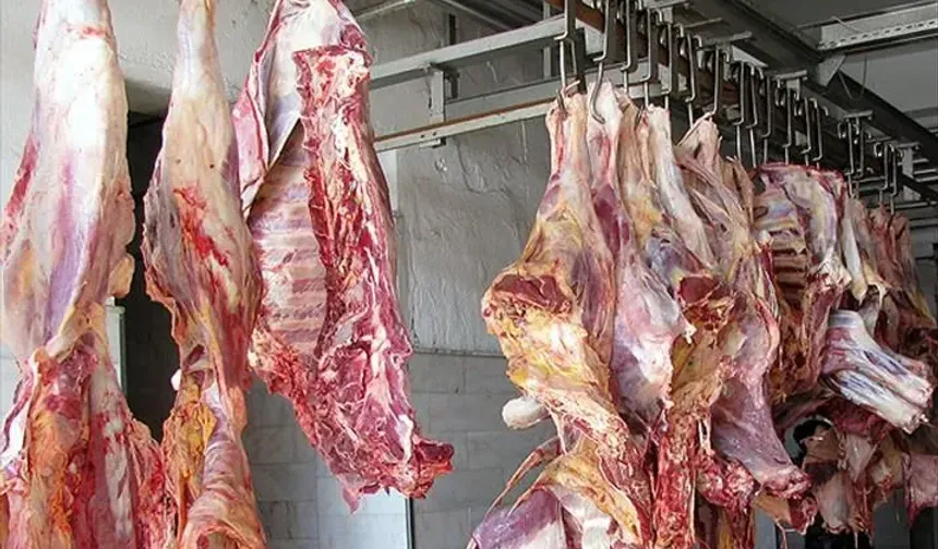 Bakanlık İfşa Etti: At ve Eşek Eti Çıktı