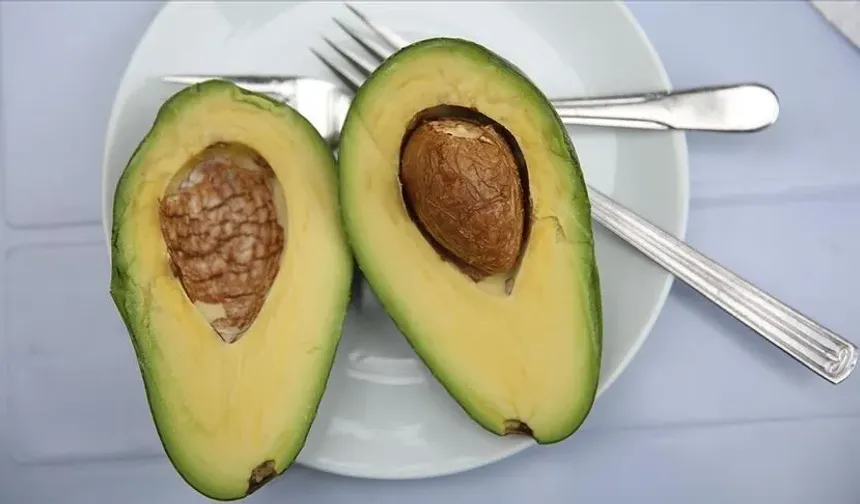 Avokado Obezlerde Kalp Riskini Azaltıyor