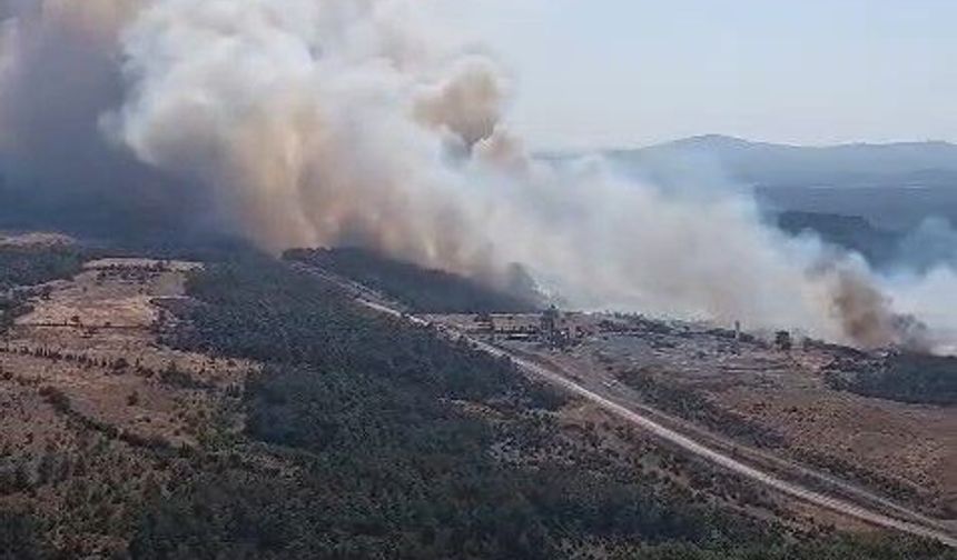 Bayramiç'te Orman Yangını: Alevlere Havadan ve Karadan Müdahale Ediliyor