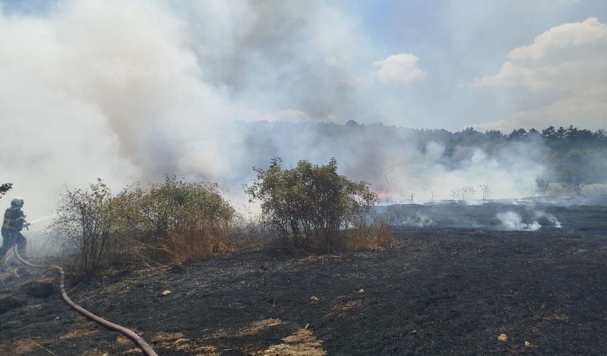 Bilecik'te Tarla Yangını: 30 Dönüm Arazi Kül Oldu
