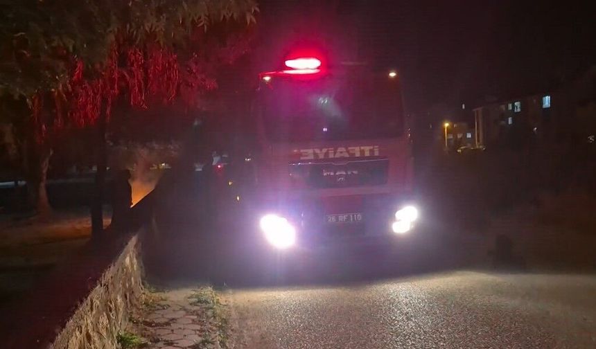 Eskişehir’de Parkta Kasten Yangın Çıkarıldı