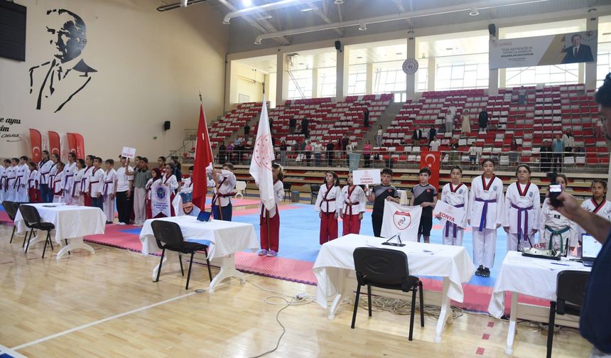 Eskişehir’de Taekwondo Heyecanı