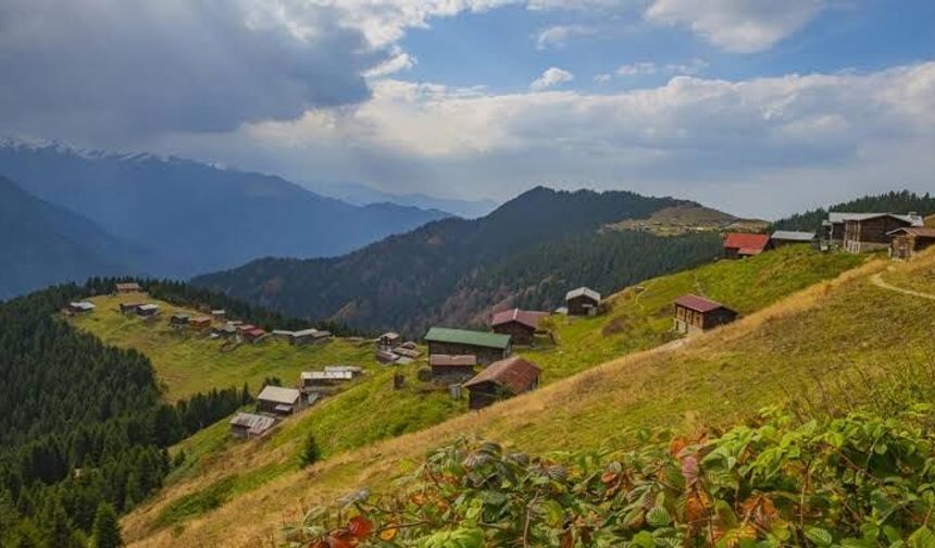 Rize’de 600 Metrelik Uçurumda Feci Son