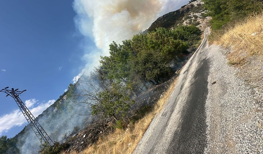 Antalya Akseki'deki Orman Yangını