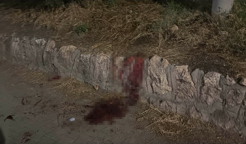 Eskişehir'de Bıçaklı Kavga: 17 Yaşındaki Genç Ağır Yaralı