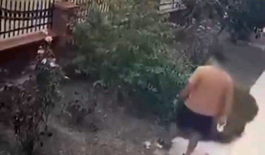 İzmir'de Yavrulu Kediye Tekme Atan Şüpheli Yakalandı