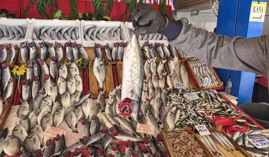 Eskişehir'de Balık Sezonu Açıldı: Tezgahlarda Palamut Yoğunluğu