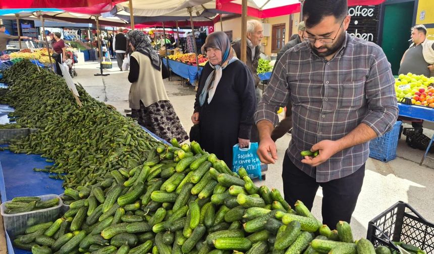 Pazarlarda turşuluk telaşı: Kornişon salatalık zamlandı