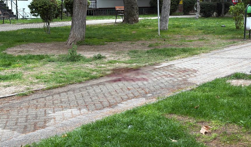 Porsuk Bulvarı'ndaki Bıçaklı Kavgadan Acı Haber: Yaşam Mücadelesini Kaybetti!