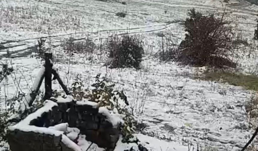 Eskişehir'in Alpu İlçesinde Kar Yağışı Etkili Oldu