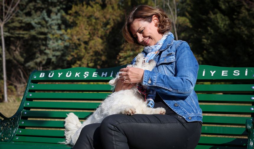Başkan Ayşe Ünlüce’den 4 Ekim Dünya Hayvanları Koruma Günü Mesajı