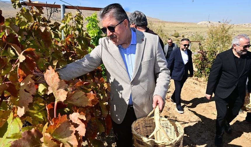 Eskişehir Protokolü Gecek’te Üzüm Hasadına Katıldı