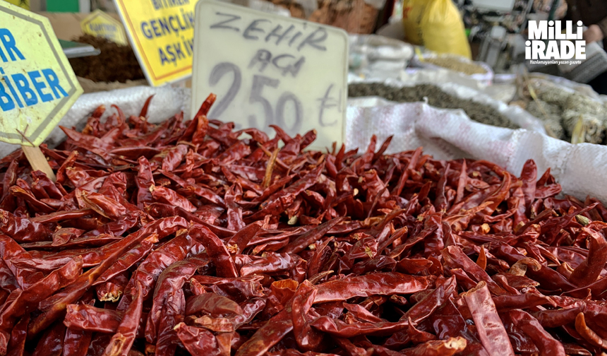 Acı biberin fiyatı cep yakıyor - Eskişehir Haberleri