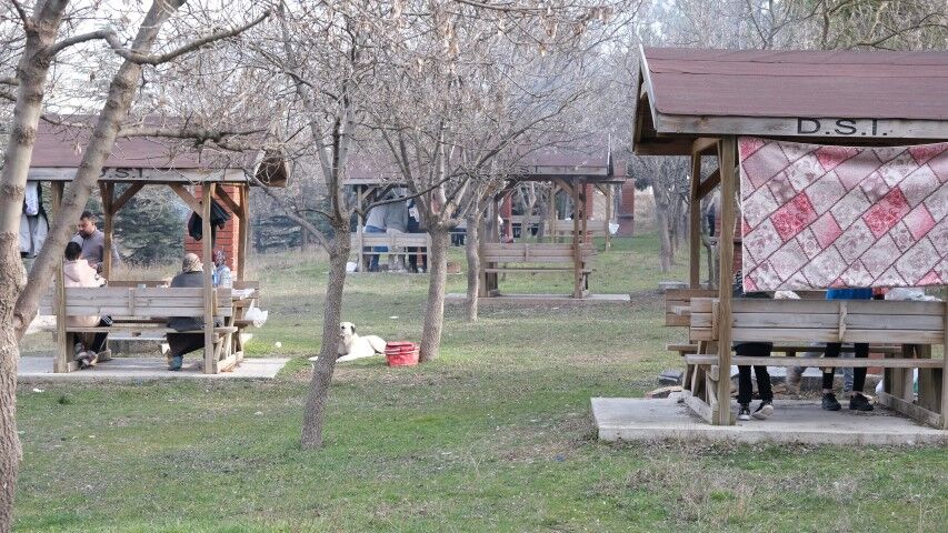 Mangal