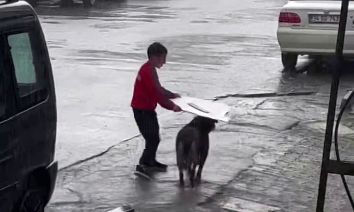 Küçük çocuktan yağmur altında insanlık dersi