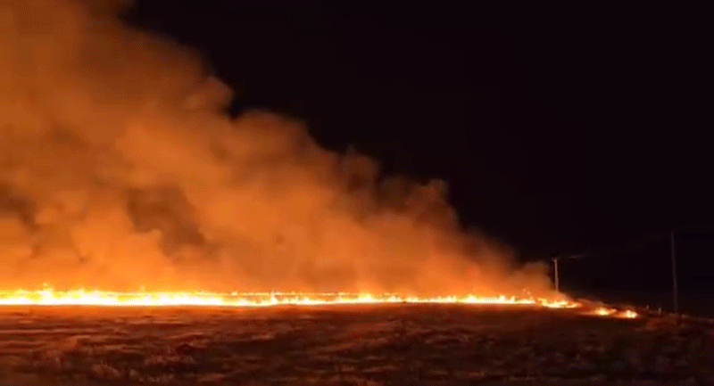 Şırnak'ın Suriye sınırında anız yangını: 7 köy etkilendi