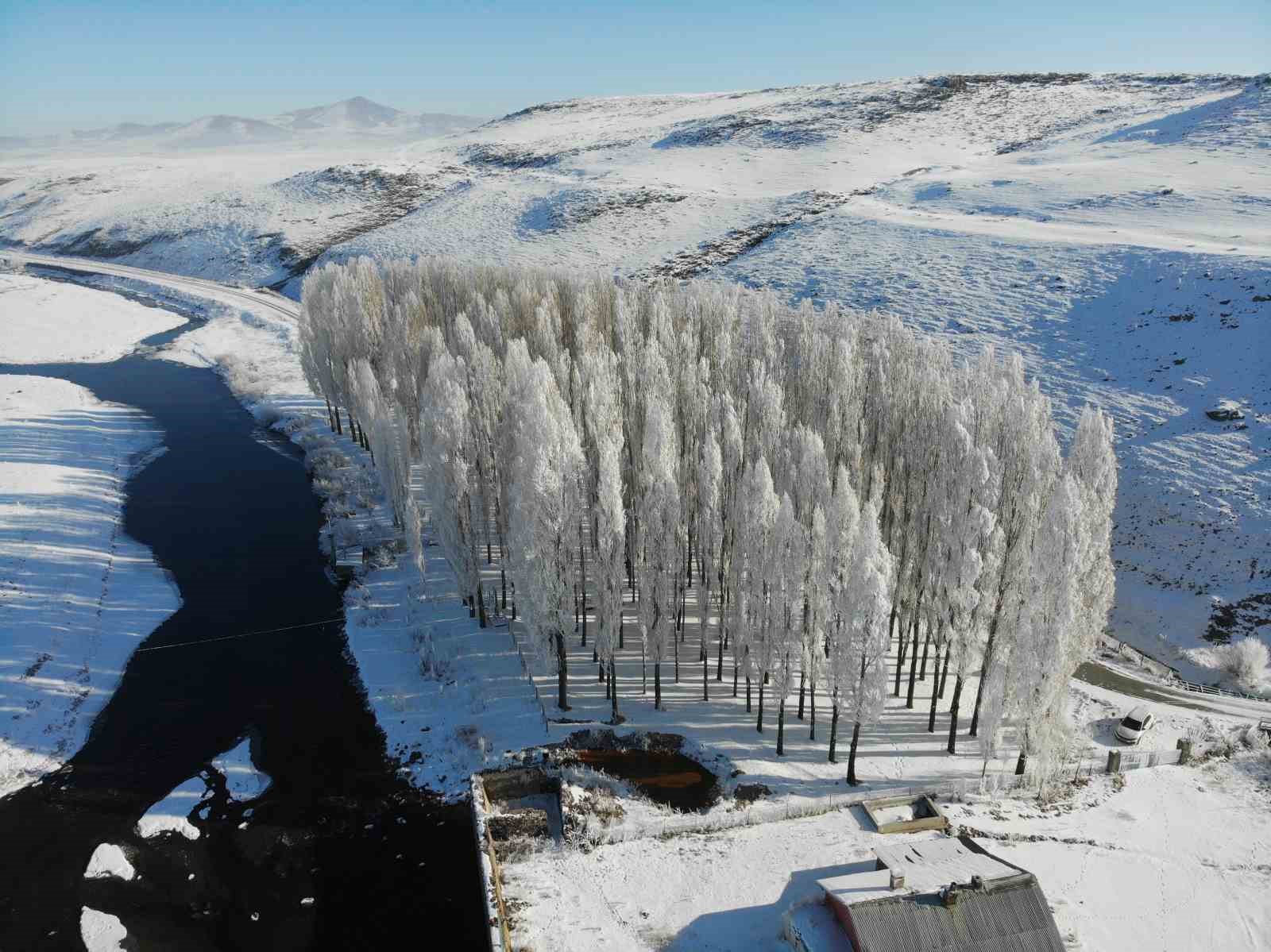 Kars Dondu, Ağaçlar Kırağı Tuttu1