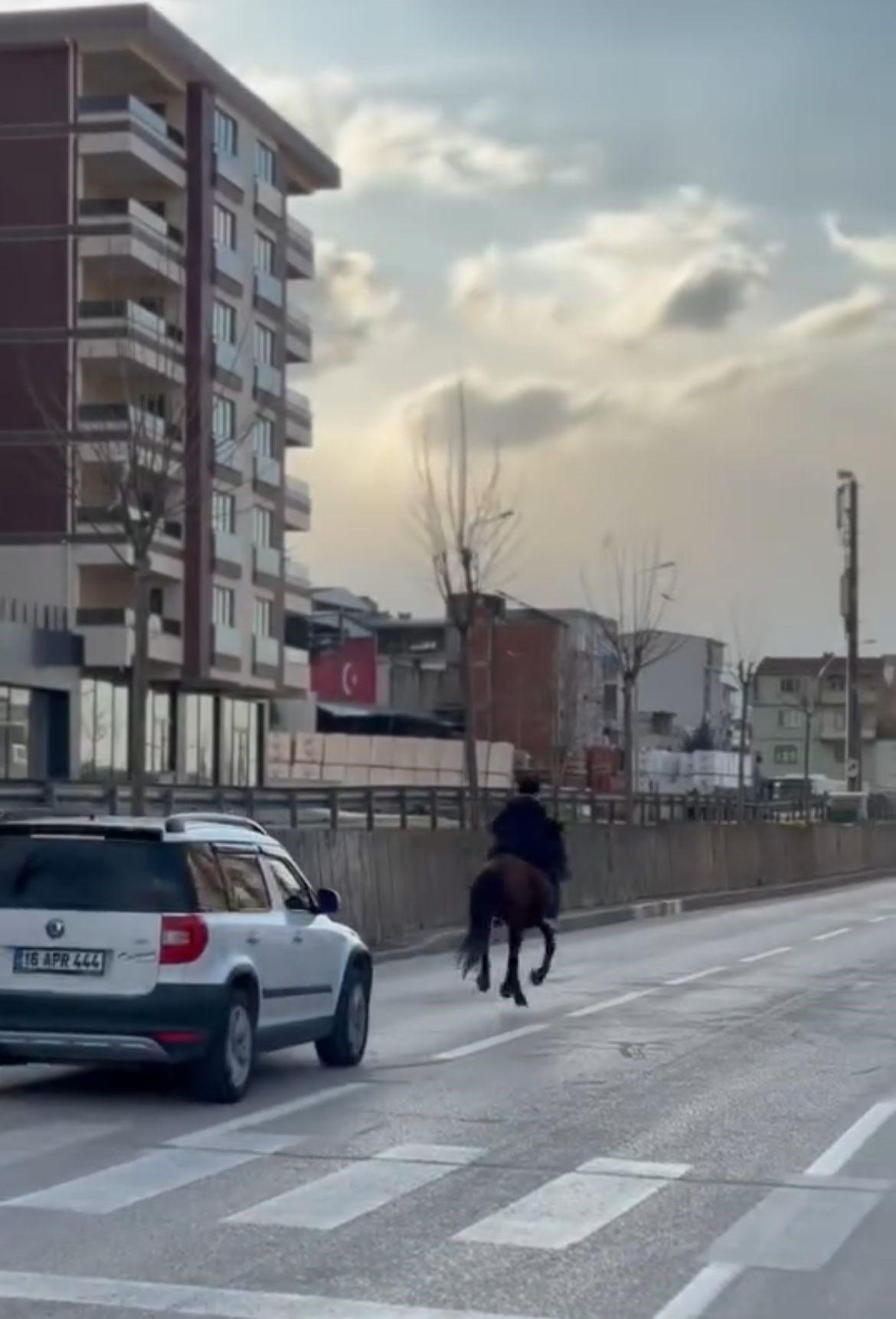 Fatih'in İstanbul'u Fethettiği Yaşta Trafiğe At Ile Çıktı (2)