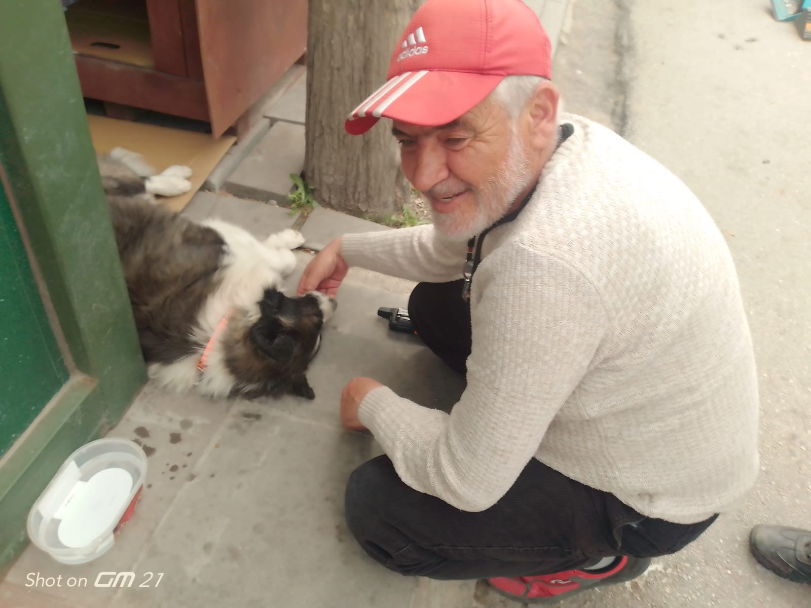 Tüylerindeki Ve Gözlerindeki Pislikleri Elleriyle Temizliyor (3)